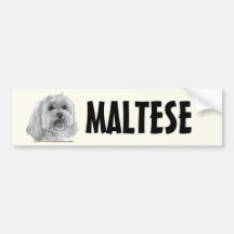 Sadie, Maltese Bumper Stickers