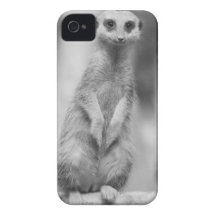 Safari Cute African Classy Suricate Meerkat Case-Mate iPhone 4 Case