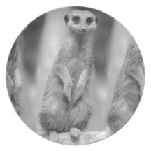 Safari Cute African Classy Suricate Meerkat Dinner Plate