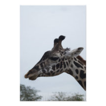 Safari Dreams 5 Photo Art