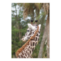 Safari Dreams 9 Photo Print