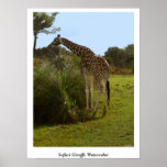 Safari Giraffe Watercolor Print