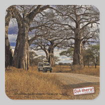 Safari stickers