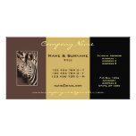 Safari zebra photo business cards photo cards