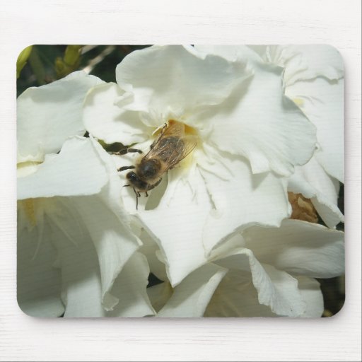 Safe Surfer Jr. Mouse Mat