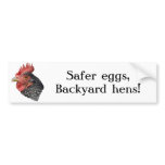Safer eggs, Backyard hens! - Bumper sticker