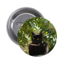 Safer up here pinback buttons