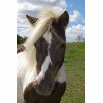 Sage Photo Cutout