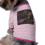 Sagebrush Desert pet clothing