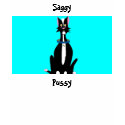 Saggy, Pussy t-shirts