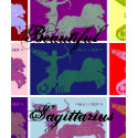 Sagittarius, Beautiful Zodiac Tee t-shirts