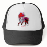 Sagittarius hats