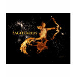 Sagittarius Ladie's T-shirt - Zodiac Symbols