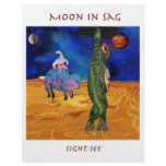Sagittarius Moon flyers