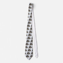 SAGRADA FAMILIA BARCELONA SPAIN (St.K) Tie