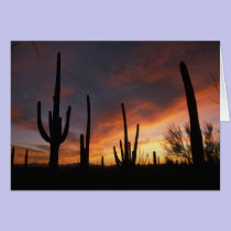 saguaro cacti, Carnegiea gigantea, after cards