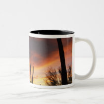 saguaro cacti, Carnegiea gigantea, after mugs