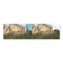 Saguaro Cactus Bumper Stickers