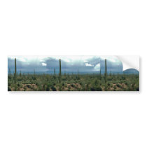 Saguaro Cactus Bumper Sticker