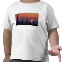 Saguaro Cactus Carnegiea gigantea), Sunset, Shirts