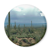 Saguaro Cactus Magnet