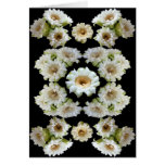 SAGUARO COMPOSITE AS CARD