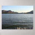 Saguaro Lake posters