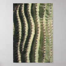 Saguaro wave print