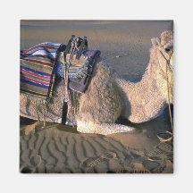Sahara Desert near Merzouga, Morocco Magnets