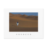 Sahara Postcard