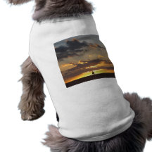 Sail boat at sunset dog tee