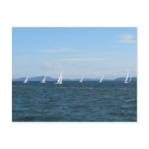 Sailboat Races Postcard