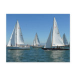 Sailboats in the Harbor Post Cards