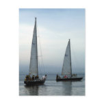 Sailboats in the Morning Postcards