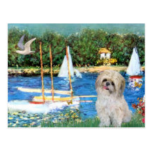 Sailboats - Shih Tzu (P) Post Cards