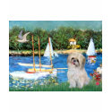 Sailboats - Shih Tzu (P) t-shirts