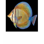 Sailfin Tang Kids Ringer T-Shirt