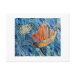 Sailfish postcards