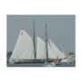 Sailing Boat in Norfolk Post Cards