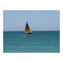 Sailing on the Sea of Cortez posters
