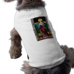 Saint Agnes (Agnes of Rome) - Stained Glass Art pet clothing
