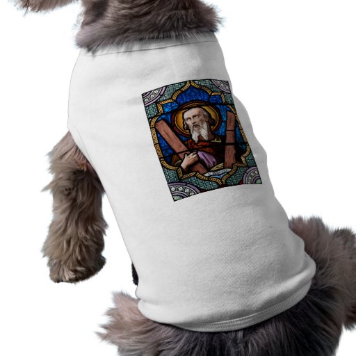 Saint Andrew (Apostle Andrew) Stained Glass Art Pet Clothes
