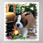Saint Bernard Art Gifts posters