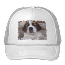 Saint Bernard Baseball Hat