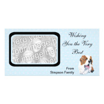 Saint Bernard - Blue w/ White Diamond Design