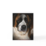 Saint Bernard Cards,customisable