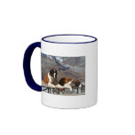 Saint-Bernard posing mugs