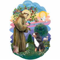 Saint Francis  - Bernese Mountain Dog Photo Cutouts