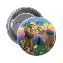 Saint Francis - Shetland Pony buttons