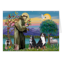 Saint Francis - Two Bernese Mountain Dogs Card